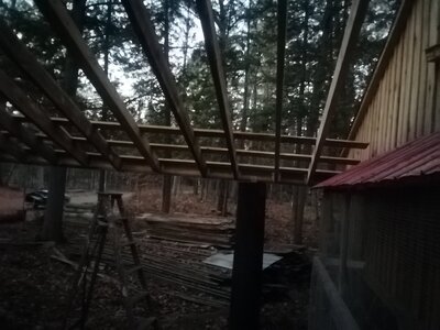 IMG_20201108_165535.jpg