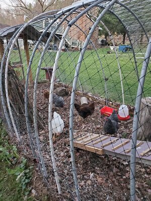 20201109_170630.jpg