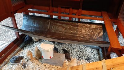 poop hammock and waterer.jpg
