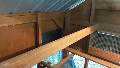 heater and upper roost.jpg