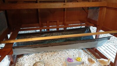 poop hammock and feeders.jpg