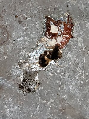 20201109_164105.jpg