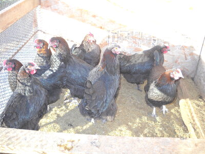 DSCN0491.JPG