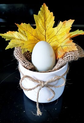 20201110_133003.jpg