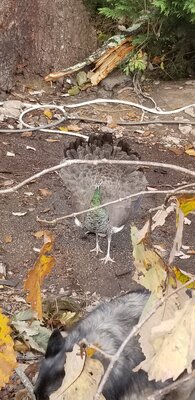 20201111_103108.jpg