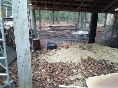IMG_20201111_092942.jpg