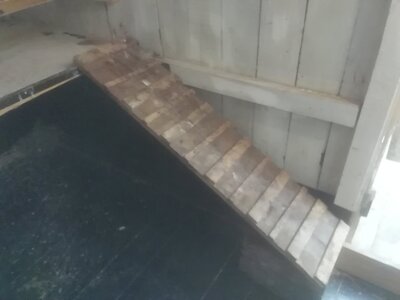 IMG_20201111_114856.jpg