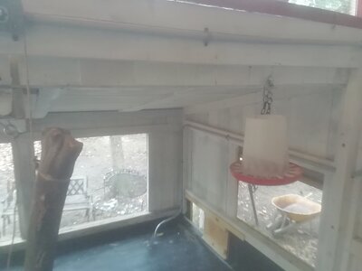 IMG_20201111_114914.jpg