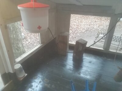 IMG_20201111_114917.jpg
