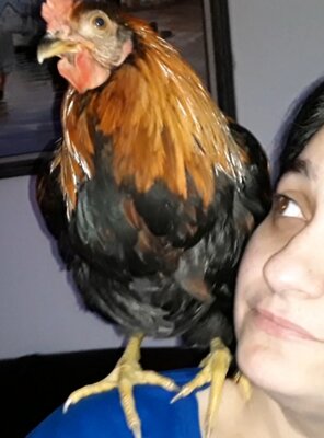 20201109_081943.jpg