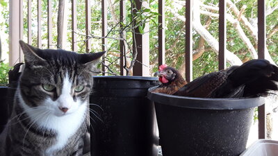 20201008_102344.jpg