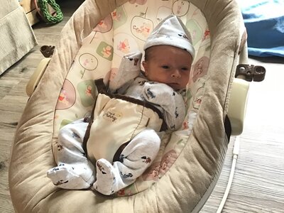 swinging burrito.jpeg