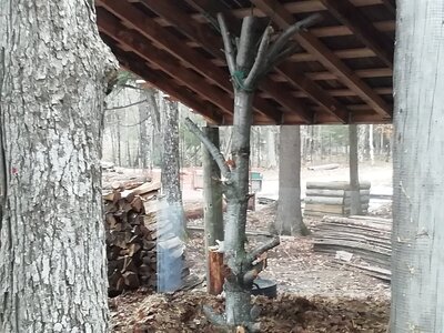 IMG_20201113_133457.jpg
