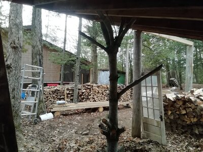 IMG_20201113_133534.jpg