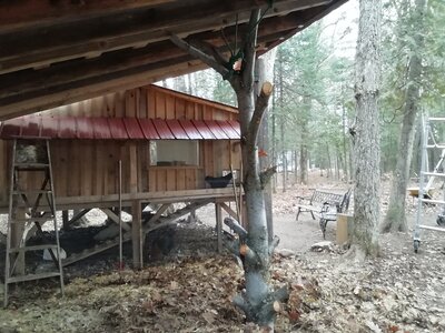 IMG_20201113_133603.jpg