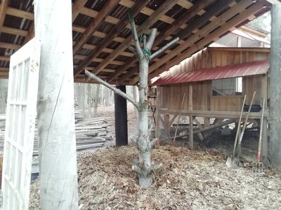IMG_20201113_133618.jpg