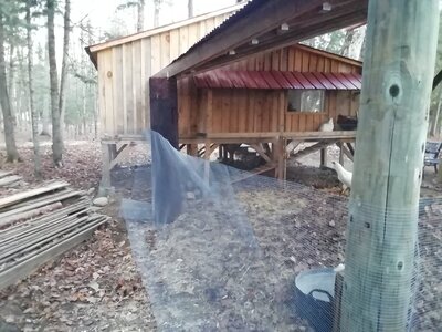 IMG_20201113_161017.jpg