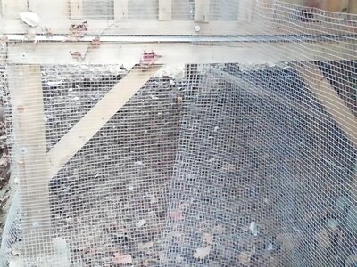 IMG_20201113_161044.jpg