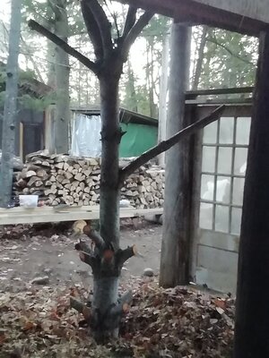 IMG_20201113_161140.jpg