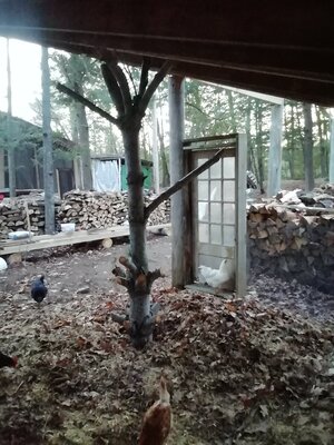 IMG_20201113_161230.jpg