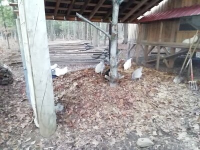 IMG_20201113_162048.jpg