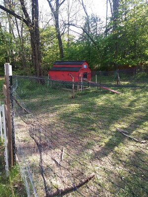 20200512_181052.jpg