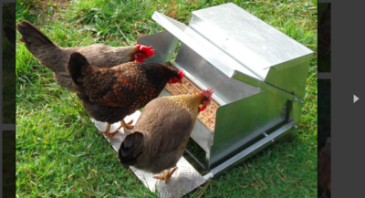 Grandpas chook feeder