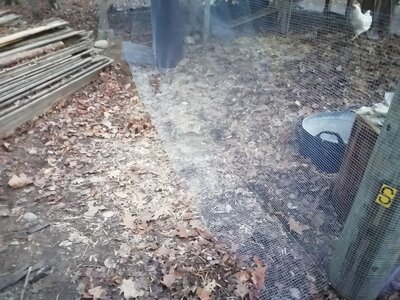 IMG_20201113_161028.jpg