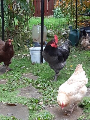 20201106_085301.jpg