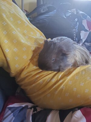 20201116_150039.jpg