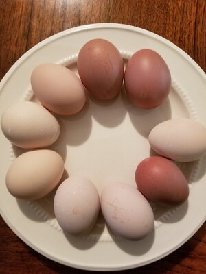 20201117_172713.jpg