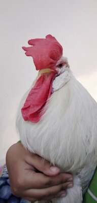 IMG20201118092920.jpg