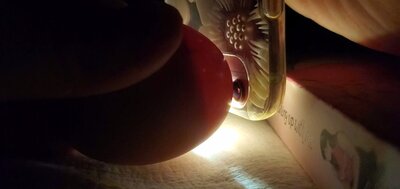 VideoCapture_20201117-232220.jpg