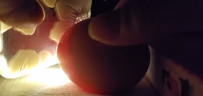 VideoCapture_20201117-232017.jpg