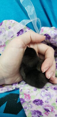20201106_080153.jpg