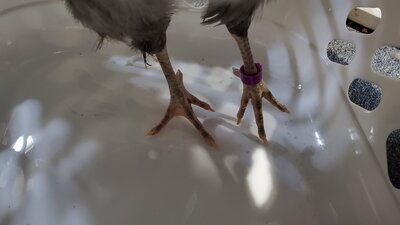 20201119_132118.jpg