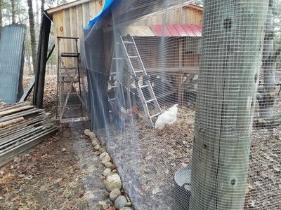 IMG_20201121_092926.jpg