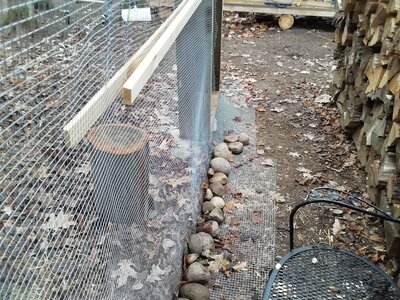 IMG_20201121_093006.jpg
