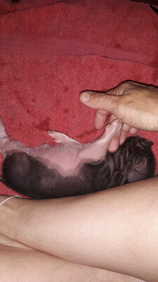 20201119_154029.jpg