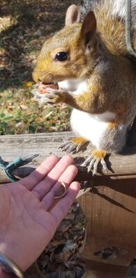 20201121_113613.jpg