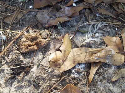 20201121_135806.jpg