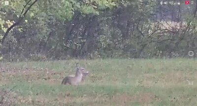 Screenshot_20201115-093508_Blue Iris.jpg