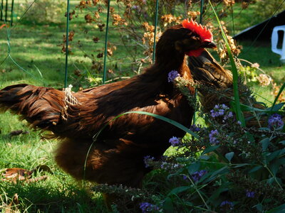 DSCN1364.jpg