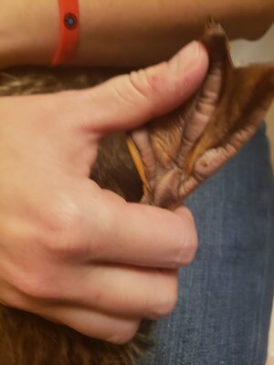 20201119_205213.jpg