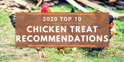 2020 Top 10 Chicken Treat Recommendations