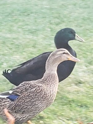 20201123_132055.jpg