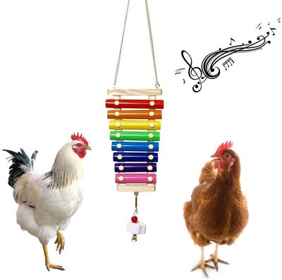 2020 Top 10 Chicken Toy Recommendations
