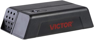 71ppxCLEpoL._AC_SY450_.jpg