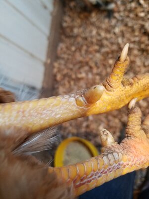 20201126_103205.jpg