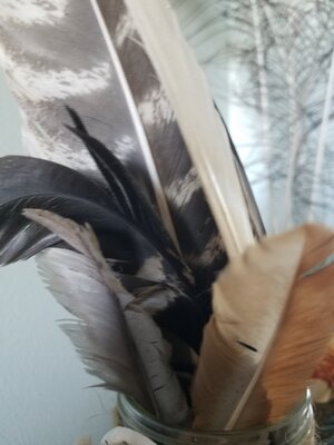 20201128_134159.jpg